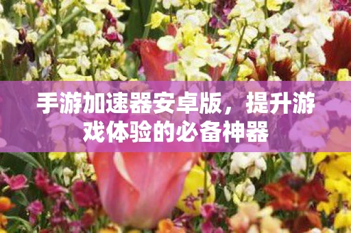 手游加速器安卓版，提升游戏体验的必备神器