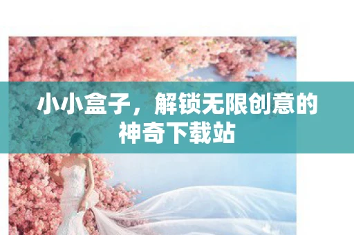 小小盒子，解锁无限创意的神奇下载站