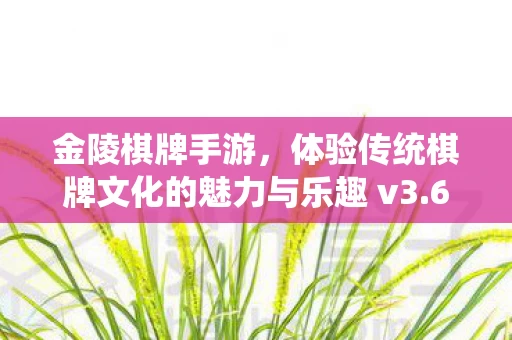 体验传统棋牌文化的魅力与乐趣 v3图片