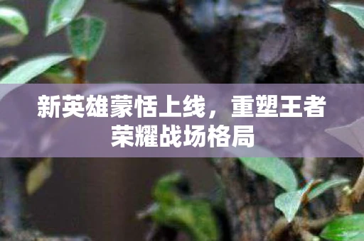 新英雄蒙恬上线，重塑王者荣耀战场格局
