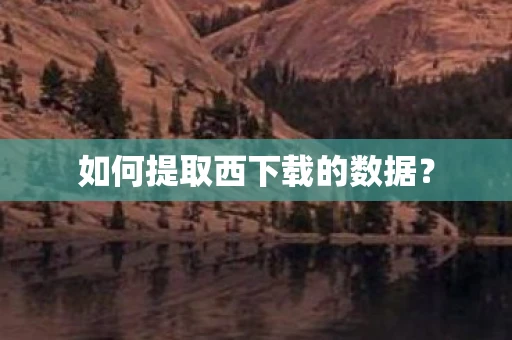 如何提取西下载的数据？
