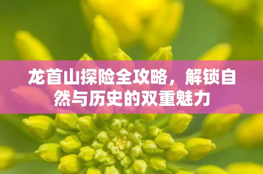 龙首山探险全攻略，解锁自然与历史的双重魅力