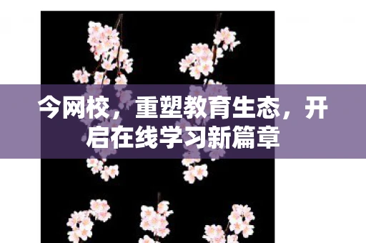 今网校，重塑教育生态，开启在线学习新篇章