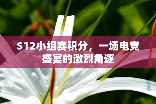 S12小组赛积分，一场电竞盛宴的激烈角逐
