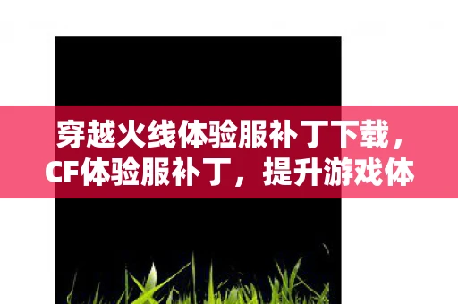 穿越火线体验服补丁下载，CF体验服补丁，提升游戏体验的必备神器