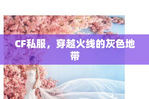 CF私服，穿越火线的灰色地带