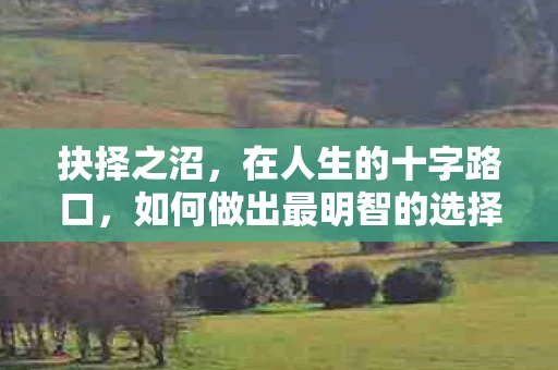 抉择之沼，在人生的十字路口，如何做出最明智的选择