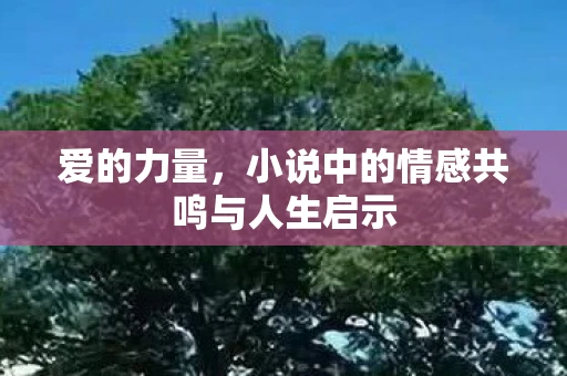 爱的力量，小说中的情感共鸣与人生启示