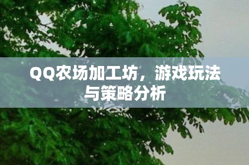 游戏玩法与策略分析图片