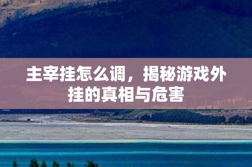 主宰挂怎么调，揭秘游戏外挂的真相与危害
