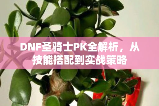 DNF圣骑士PK全解析，从技能搭配到实战策略