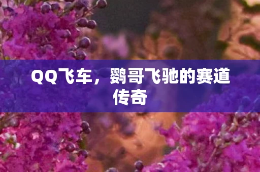 QQ飞车，鹦哥飞驰的赛道传奇