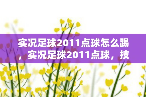 实况足球2011点球怎么踢，实况足球2011点球，技巧与策略的全面解析