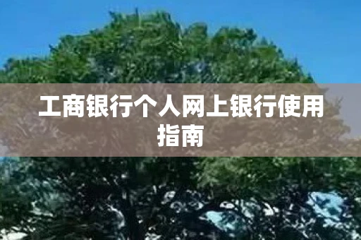工商银行个人网上银行使用指南