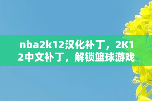 nba2k12汉化补丁，2K12中文补丁，解锁篮球游戏新体验