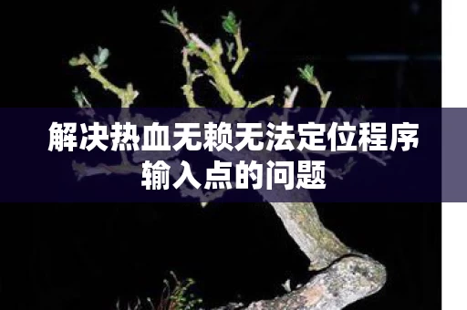 解决热血无赖无法定位程序输入点的问题图片