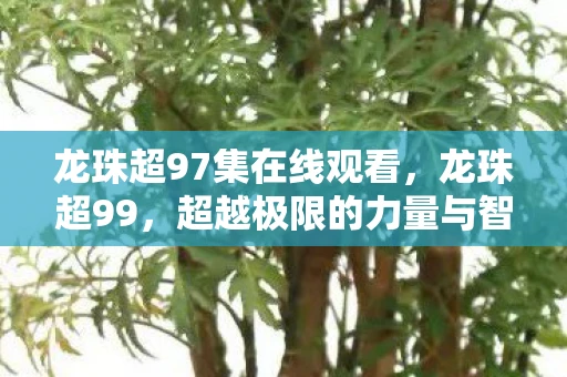 龙珠超97集在线观看，龙珠超99，超越极限的力量与智慧