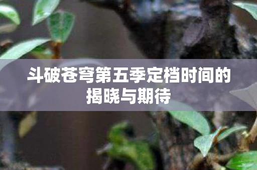 斗破苍穹第五季定档时间的揭晓与期待图片