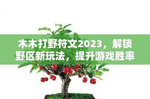 木木打野符文2023，解锁野区新玩法，提升游戏胜率