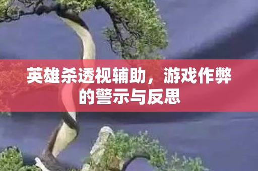 英雄杀透视辅助，游戏作弊的警示与反思