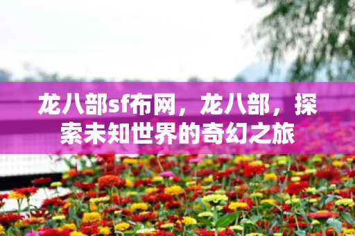 龙八部sf布网，龙八部，探索未知世界的奇幻之旅