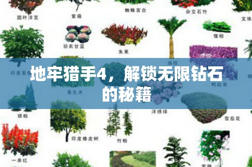 地牢猎手4，解锁无限钻石的秘籍