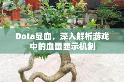 深入解析游戏中的血量显示机制图片