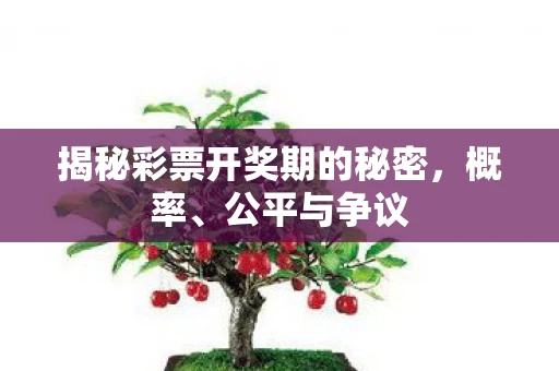 揭秘彩票开奖期的秘密，概率、公平与争议