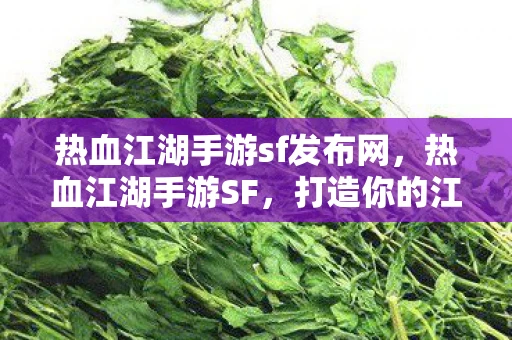 热血江湖手游sf发布网，热血江湖手游SF，打造你的江湖传奇