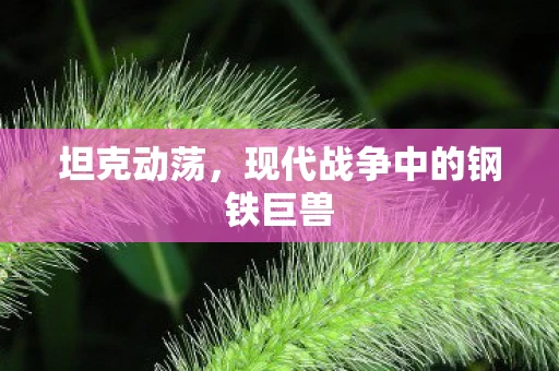 坦克动荡，现代战争中的钢铁巨兽