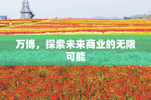 万博，探索未来商业的无限可能