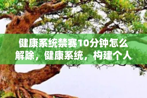 健康系统禁赛10分钟怎么解除，健康系统，构建个人与社会的健康基石