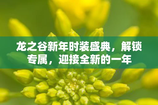 龙之谷新年时装盛典图片