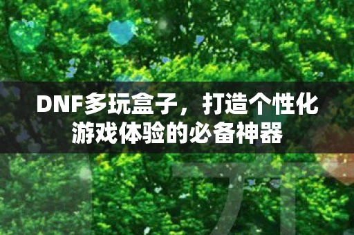 DNF多玩盒子，打造个性化游戏体验的必备神器
