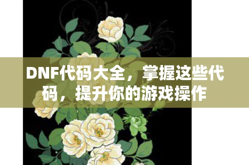 DNF代码大全，掌握这些代码，提升你的游戏操作