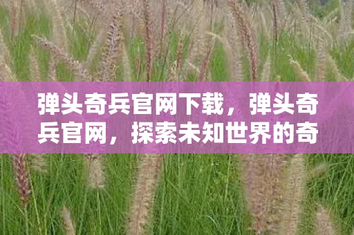 弹头奇兵官网下载，弹头奇兵官网，探索未知世界的奇妙之旅