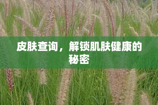 皮肤查询，解锁肌肤健康的秘密