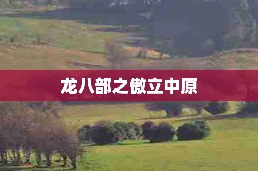 龙八部之傲立中原