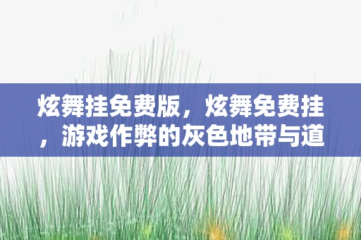 炫舞挂免费版，炫舞免费挂，游戏作弊的灰色地带与道德反思