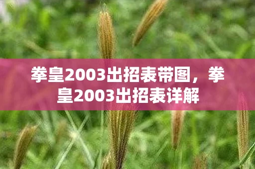 拳皇2003出招表带图，拳皇2003出招表详解