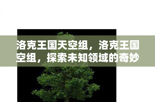 洛克王国天空组，洛克王国空组，探索未知领域的奇妙之旅
