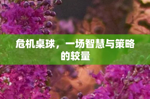 危机桌球，一场智慧与策略的较量