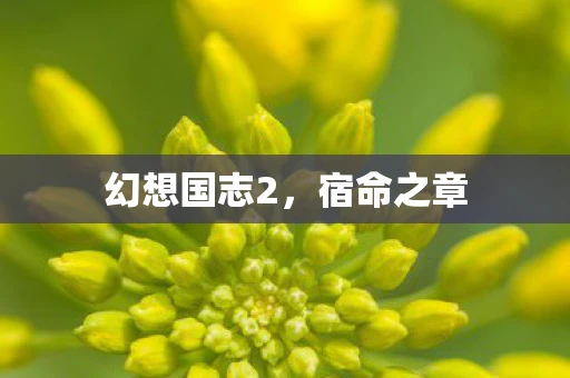 幻想国志2，宿命之章