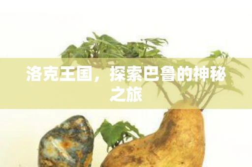 洛克王国，探索巴鲁的神秘之旅