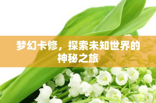 梦幻卡修，探索未知世界的神秘之旅