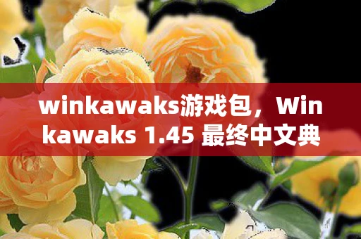winkawaks游戏包，Winkawaks 1.45 最终中文典藏版，经典街机模拟器的新篇章