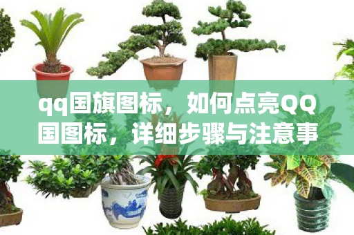 qq国旗图标，如何点亮QQ国图标，详细步骤与注意事项