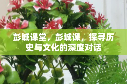 彭城课堂，彭城课，探寻历史与文化的深度对话