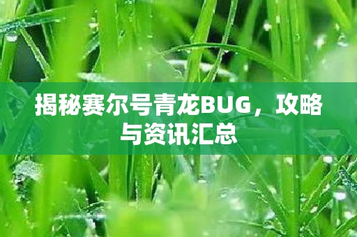 揭秘赛尔号青龙BUG图片