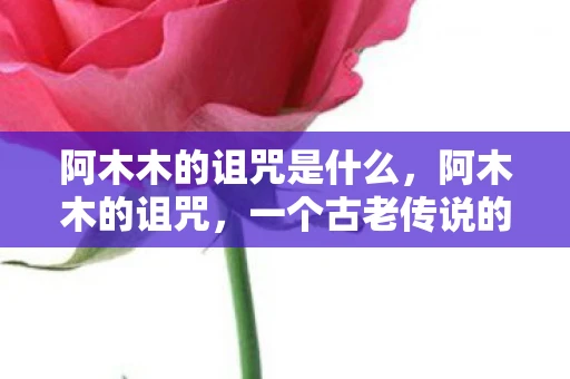 阿木木的诅咒是什么，阿木木的诅咒，一个古老传说的现代解读